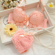 Load image into Gallery viewer, Push Up Embroidery Lingerie Set