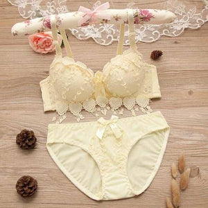 Push Up Embroidery Lingerie Set